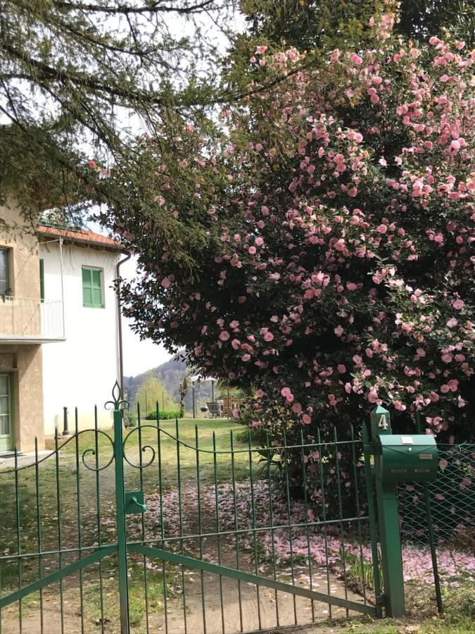Appartamento La Camelia Ameno Exterior foto